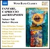 Vince DiMartino 론 넬슨: 중세 모음곡 / 앤드류 보이즌: 관악 교향곡 1번 (Fanfare, Capriccio and Rhapsody)