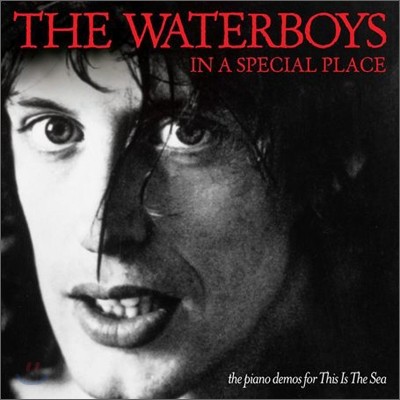 Waterboys - In A Special Place: The Piano Demos For This Is The Sea
