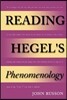 Reading Hegel's Phenomenology