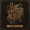 Zac Brown Band (잭 브라운 밴드) - Welcome Home [LP]