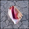 The Killers (킬러스) - Wonderful Wonderful [Deluxe Edition]