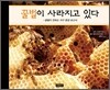 꿀벌이 사라지고 있다