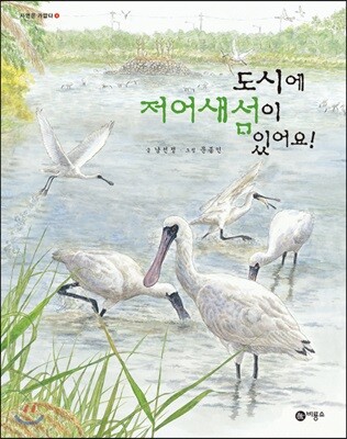 도시에 저어새섬이 있어요!