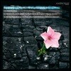 Martin Gester 디노이에: 대합창 미사와 심포니 / 코레트 : 모테트 라우다테 도미눔 (Hommages - Denoye : Mass for chorus and orchestra / Corrette : Laudate Dominum de coelis)