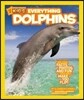 Everything Dolphins