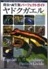 ヤドクガエル