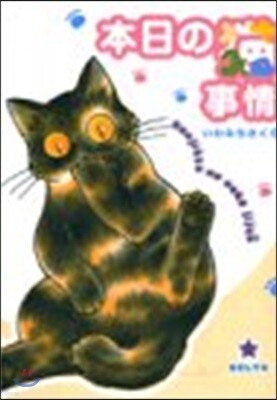 本日の猫事情   1