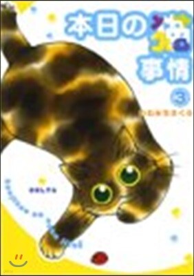 本日の猫事情   3