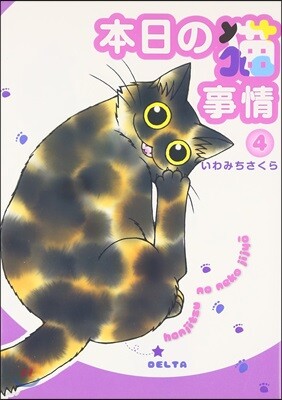 本日の猫事情   4
