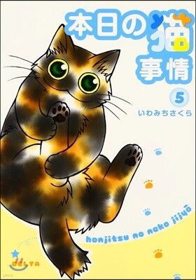 本日の猫事情   5