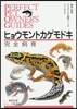 ヒョウモントカゲモドキ完全飼育
