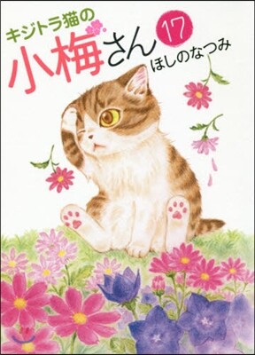 キジトラ猫の小梅さん 17