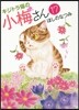 キジトラ猫の小梅さん 17
