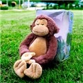 잠자는 원숭이 (Mimicking Monkey)