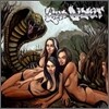 Limp Bizkit - Gold Cobra (Deluxe Version)