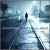 Pat Metheny - What's It All About