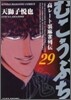 むこうぶち 29