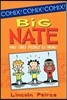 Big Nate: What Could Possibly Go Wrong?