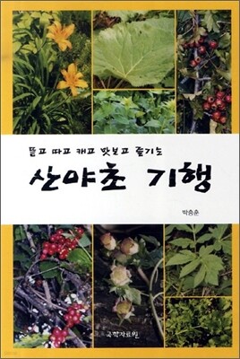 산야초 기행