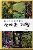 산야초 기행