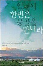일생에 한번은 몽골을 만나라