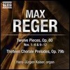 Hans-Jurgen Kaiser 레거: 오르간 작품 11집 (Reger: Organ Works Vol.11)