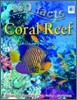 Coral Reef