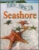 Seashore