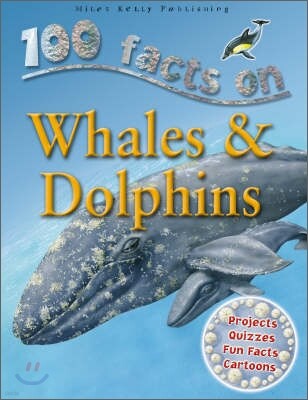 Whales And Dolphins