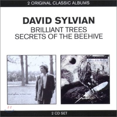 David Sylvian - 2 Original Classic Albums (Brilliant Trees + Secrets Of The Beehive)