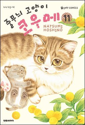 줄무늬 고양이 코우메 11권