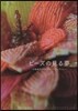 ビ-ズの見る夢－木曾康子のビ-ズワ-クコ
