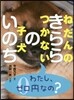 ねだんのつかない子犬 きららのいのち