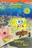 Sponge on the Run with Other