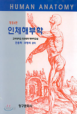 인체해부학