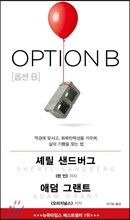 OPTION B 옵션 B
