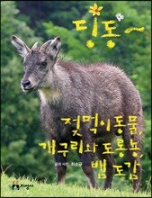 딩동~ 젖먹이 동물, 개구리와 도롱뇽, 뱀 도감