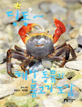 딩동~ 해안 동물과 물고기 도감