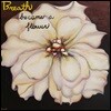 브레스 (Breath) 1집 - 꽃이 되었다