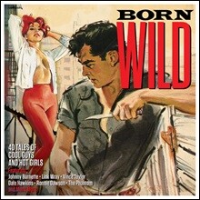 Born Wild: 40 Tales of Cool Guys &amp; Hot Girls (본 와일드 - 로큰롤 컴필레이션)