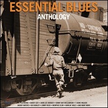 블루스 명연 모음집 (Essential Blues Anthology) [2LP]