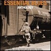 블루스 명연 모음집 (Essential Blues Anthology) [2LP]