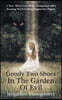 Goody Two Shoes in the Garden of Evil: A Story About Love, Hope, Compassion and a Knowing That Everything Happens for a Reason
