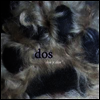 Dos - dos y dos (Purple Colored Vinyl w/Download Card) (LP)