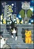 밤을 걷는 고양이 1