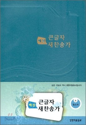 해설 큰글자 새찬송가(12.0*16.8)(펄소라)