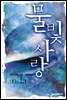 물빛 사랑