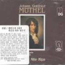 Musica Alta Ripa - Muthel : Concerts (수입/2CD/mdg32504522)