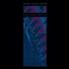 Nine Inch Nails (NIN) - Pretty Hate Machine (LP)