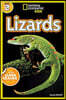 Lizards